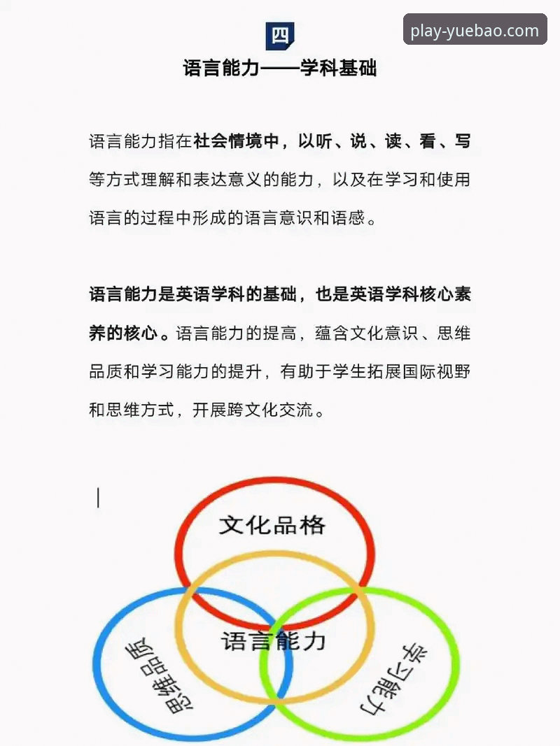 5个关键评测维度，带你全面了解乐宝体育电脑版的真实表现